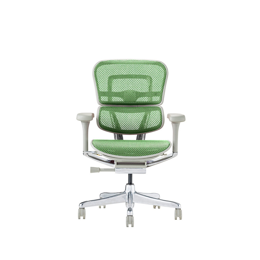 Ergohuman PRO2 Low Type GY frame / Ergohuman（エルゴヒューマン） / 高機能チェア / EHM90023_dt_11.jpg