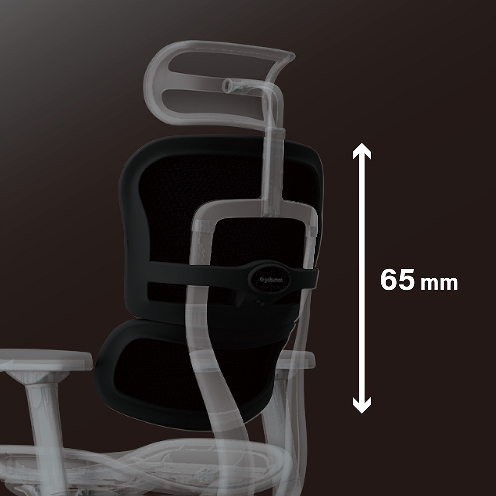 Ergohuman PRO2 Low Type GY frame / Ergohuman（エルゴヒューマン） / 高機能チェア / EHM90023_dt_20.jpg