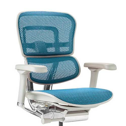 Ergohuman PRO2 Low Type GY frame / Ergohuman（エルゴヒューマン） / 高機能チェア / col_EHM90023BLU.jpg