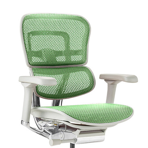 Ergohuman PRO2 Low Type GY frame / Ergohuman（エルゴヒューマン） / 高機能チェア / col_EHM90023GRN.jpg