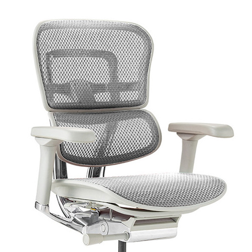 Ergohuman PRO2 Low Type GY frame / Ergohuman（エルゴヒューマン） / 高機能チェア / col_EHM90023WHT.jpg