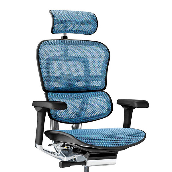 Ergohuman PRO2 High Type BK frame / Ergohuman（エルゴヒューマン） / 高機能チェア / col_EHM90024BLU.jpg