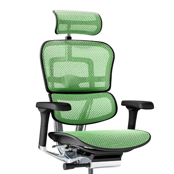 Ergohuman PRO2 High Type BK frame / Ergohuman（エルゴヒューマン） / 高機能チェア / col_EHM90024GRN.jpg