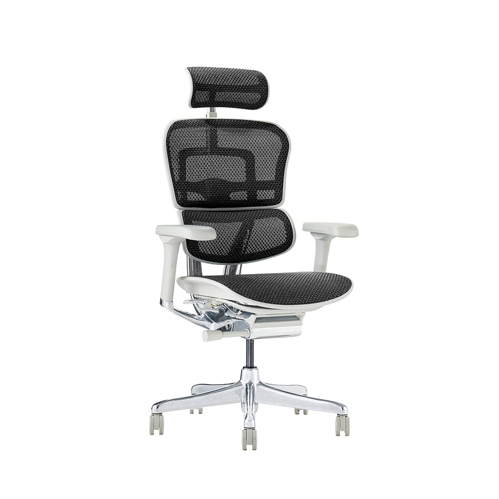 Ergohuman PRO2 High Type GY frame / Ergohuman（エルゴヒューマン） / 高機能チェア / EHM90025BLK_ma.jpg
