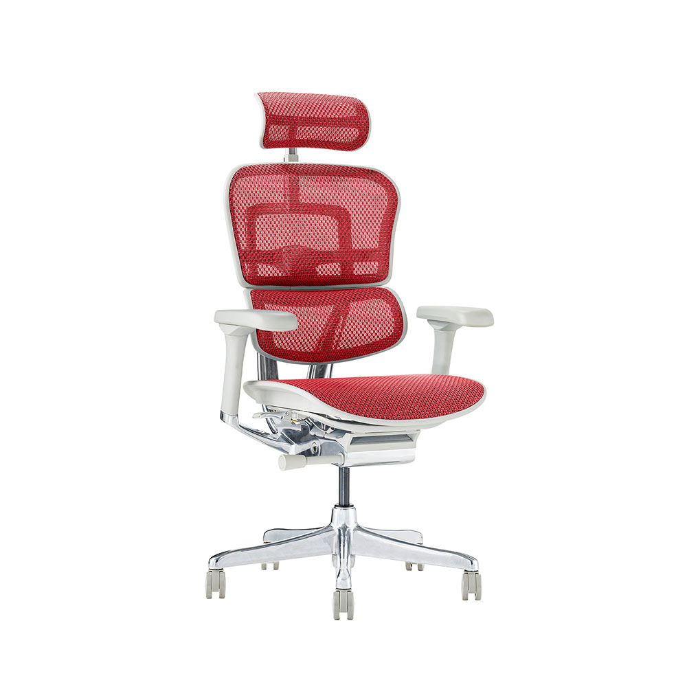 Ergohuman PRO2 High Type GY frame / Ergohuman（エルゴヒューマン） / 高機能チェア / EHM90025RED_ma.jpg