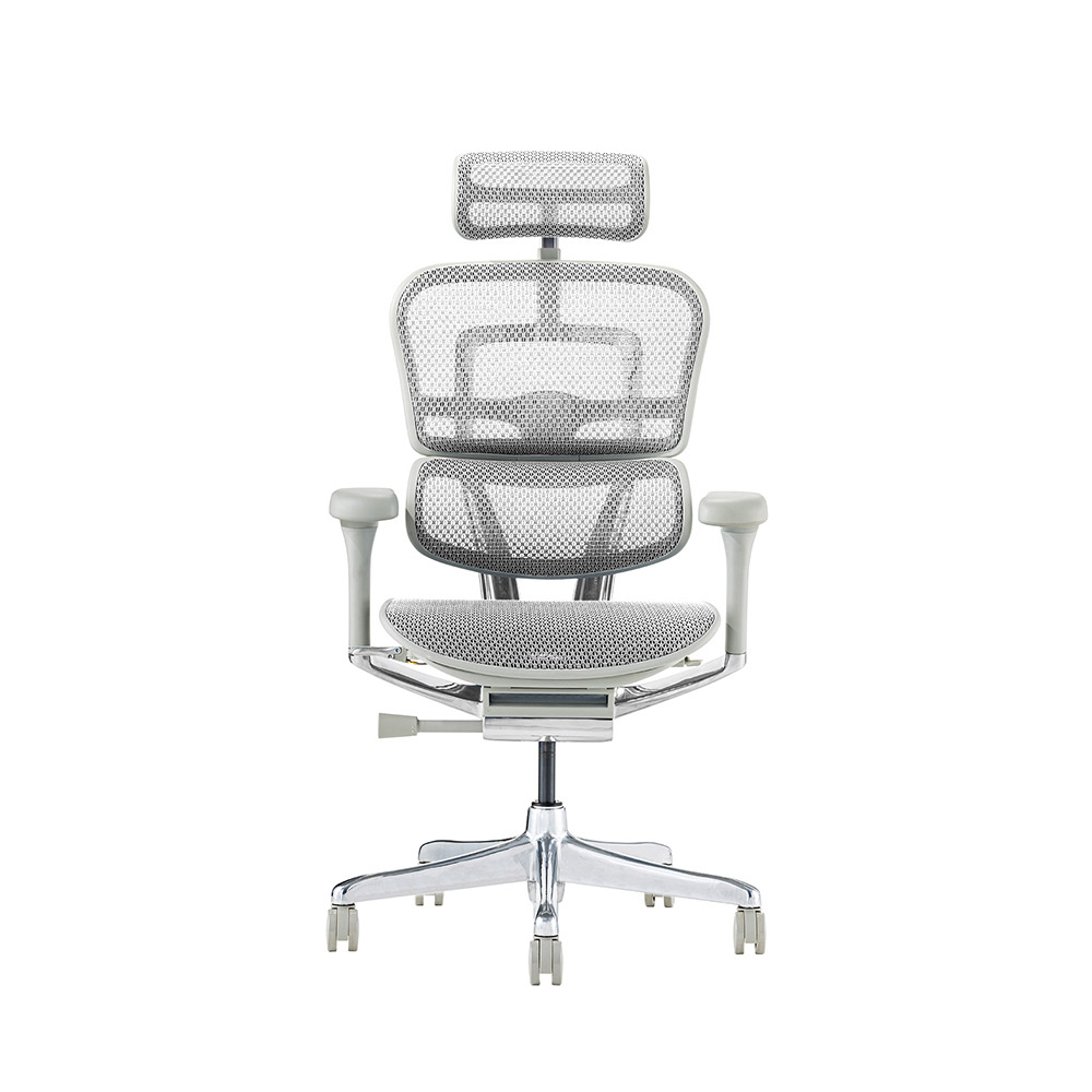 Ergohuman PRO2 High Type GY frame / Ergohuman（エルゴヒューマン） / 高機能チェア / EHM90025_dt_01.jpg