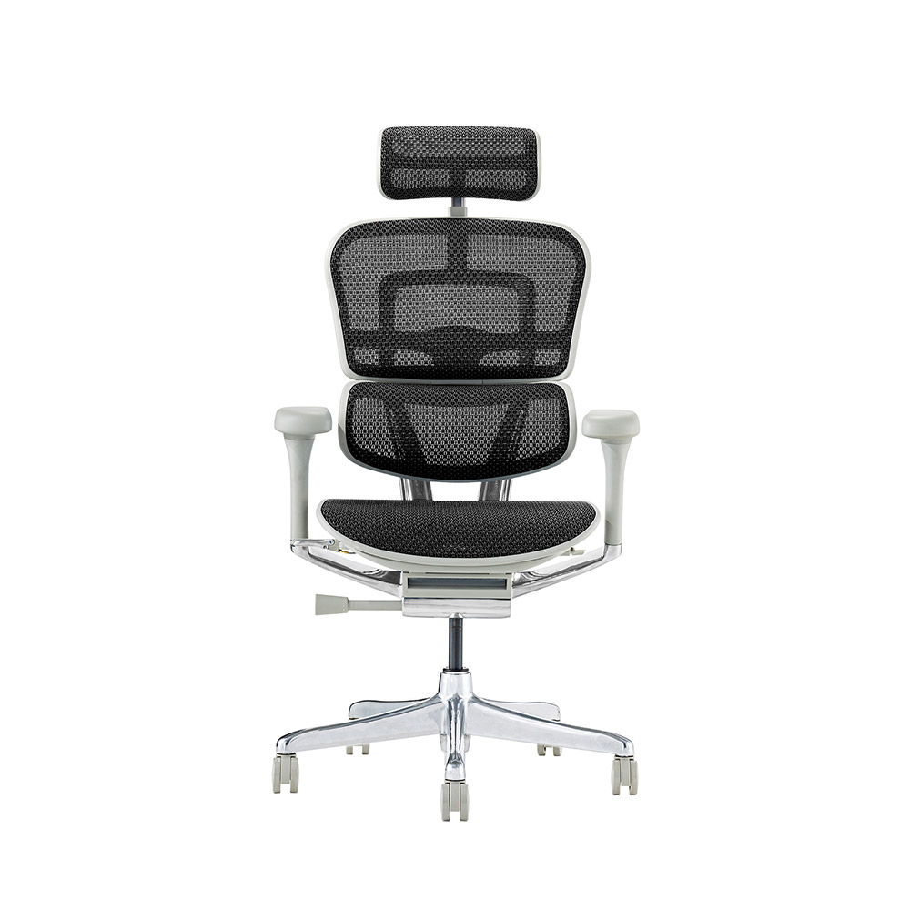 Ergohuman PRO2 High Type GY frame / Ergohuman（エルゴヒューマン） / 高機能チェア / EHM90025_dt_02.jpg