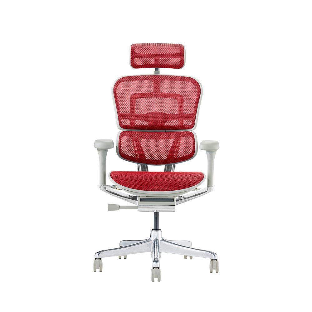 Ergohuman PRO2 High Type GY frame / Ergohuman（エルゴヒューマン） / 高機能チェア / EHM90025_dt_03.jpg