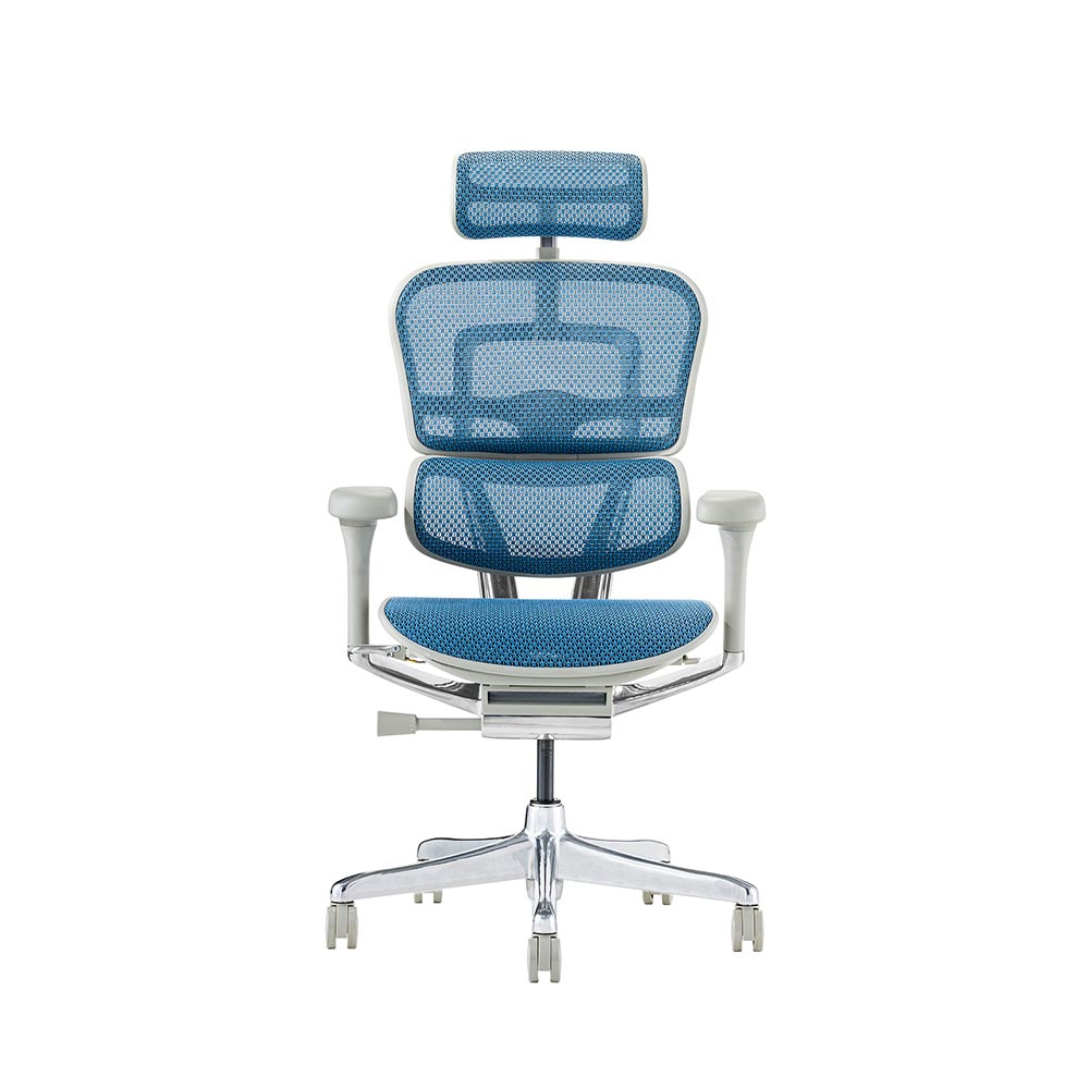 Ergohuman PRO2 High Type GY frame / Ergohuman（エルゴヒューマン） / 高機能チェア / EHM90025_dt_04.jpg