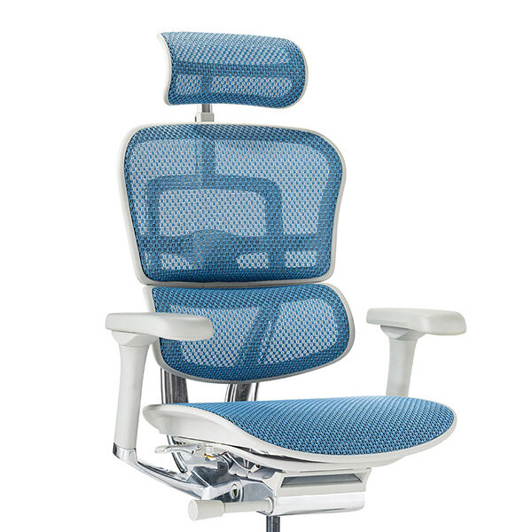 Ergohuman PRO2 High Type GY frame / Ergohuman（エルゴヒューマン） / 高機能チェア / col_EHM90025BLU.jpg