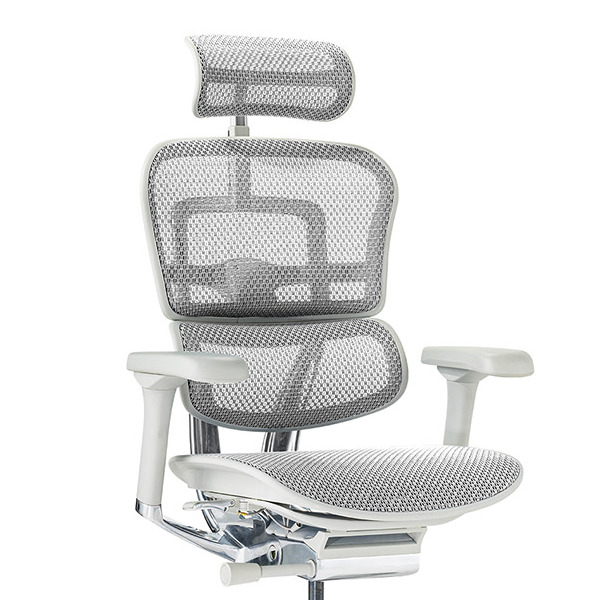 Ergohuman PRO2 High Type GY frame / Ergohuman（エルゴヒューマン） / 高機能チェア / col_EHM90025WHT.jpg
