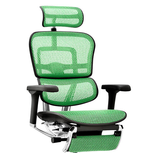 Ergohuman PRO2 Ottoman BK frame / Ergohuman（エルゴヒューマン） / 高機能チェア / col_EHM90026GRN.jpg