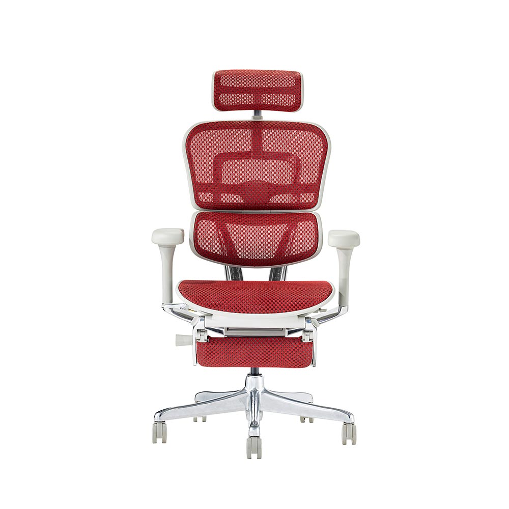 Ergohuman PRO2 Ottoman GY frame / Ergohuman（エルゴヒューマン） / 高機能チェア / EHM90027_dt_06.jpg