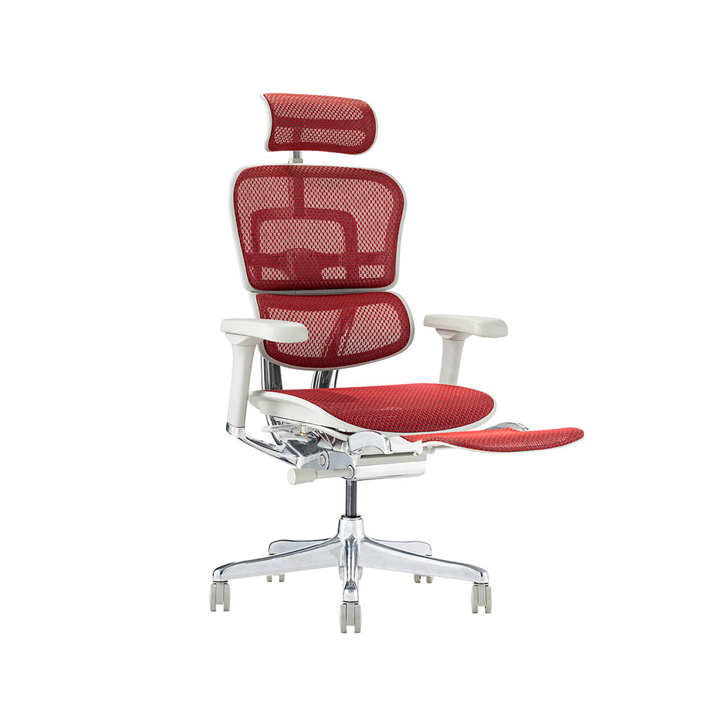Ergohuman PRO2 Ottoman GY frame / Ergohuman（エルゴヒューマン） / 高機能チェア / EHM90027_dt_07.jpg