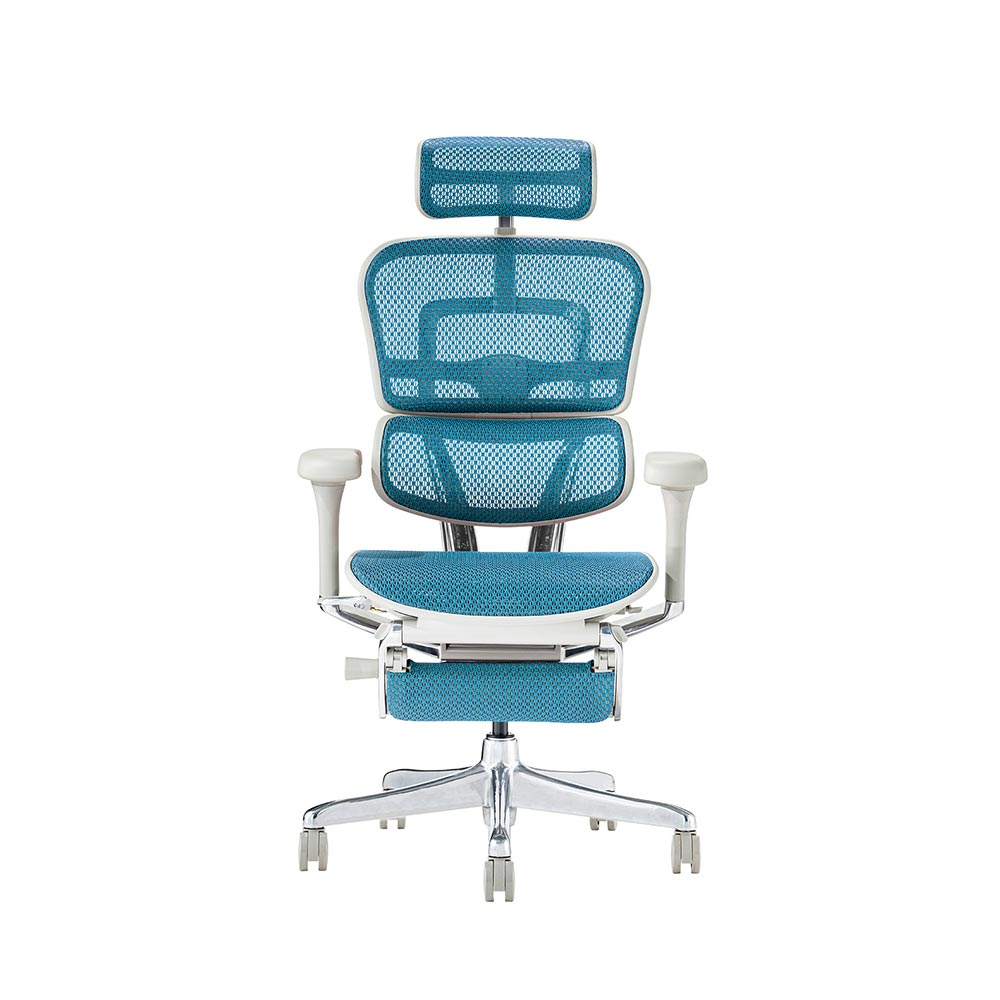 Ergohuman PRO2 Ottoman GY frame / Ergohuman（エルゴヒューマン） / 高機能チェア / EHM90027_dt_08.jpg