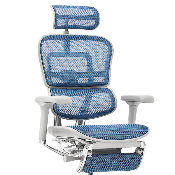 Ergohuman PRO2 Ottoman GY frame / Ergohuman(エルゴヒューマン) / 高機能チェア / col_EHM90027BLU.jpg