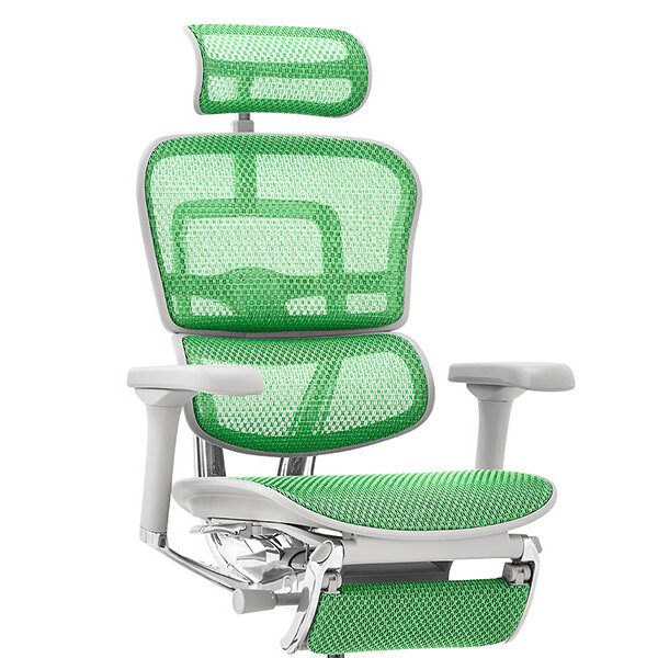 Ergohuman PRO2 Ottoman GY frame / Ergohuman(エルゴヒューマン) / 高機能チェア / col_EHM90027GRN.jpg