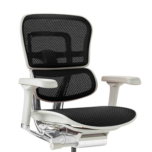 Ergohuman PRO2 Low Type DR GY frame / Ergohuman（エルゴヒューマン） / 高機能チェア / col_EHM90029BLK.jpg