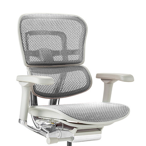 Ergohuman PRO2 Low Type DR GY frame / Ergohuman（エルゴヒューマン） / 高機能チェア / col_EHM90029WHT.jpg