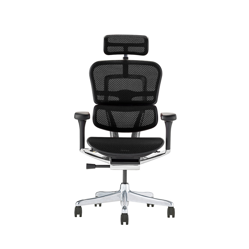 Ergohuman PRO2 High Type DR BK frame / Ergohuman（エルゴヒューマン） / 高機能チェア / EHM90030_dt_01.jpg