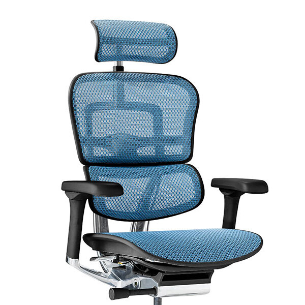 Ergohuman PRO2 High Type DR BK frame / Ergohuman（エルゴヒューマン） / 高機能チェア / col_EHM90030BLU.jpg