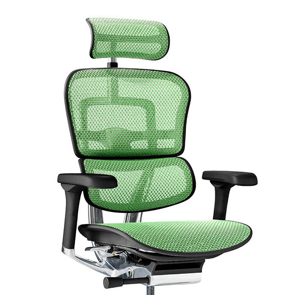 Ergohuman PRO2 High Type DR BK frame / Ergohuman（エルゴヒューマン） / 高機能チェア / col_EHM90030GRN.jpg
