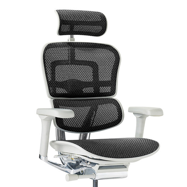 Ergohuman PRO2 High Type DR GY frame / Ergohuman（エルゴヒューマン） / 高機能チェア / col_EHM90031BLK.jpg
