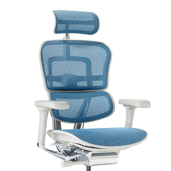 Ergohuman PRO2 High Type DR GY frame / Ergohuman（エルゴヒューマン） / 高機能チェア / col_EHM90031BLU.jpg
