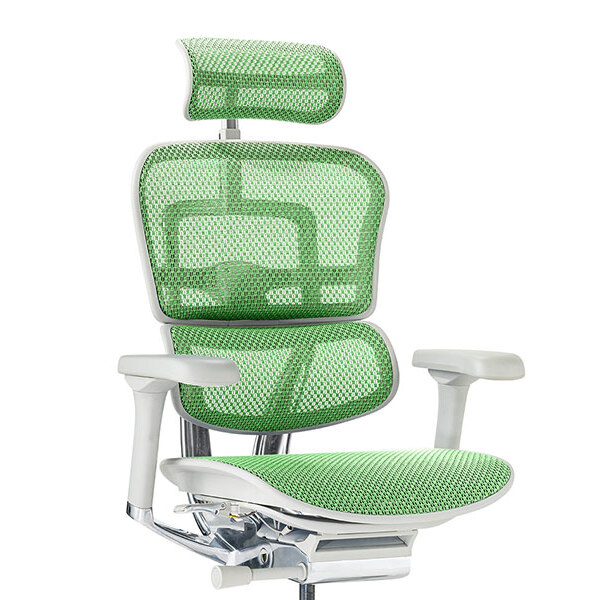 Ergohuman PRO2 High Type DR GY frame / Ergohuman（エルゴヒューマン） / 高機能チェア / col_EHM90031GRN.jpg