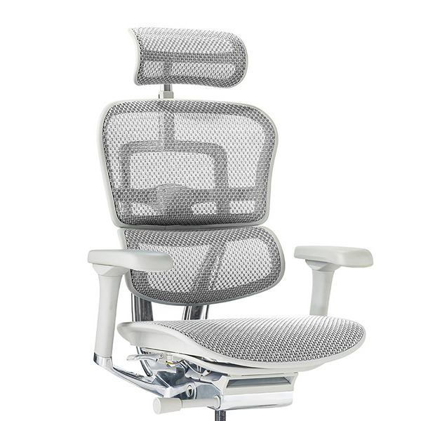 Ergohuman PRO2 High Type DR GY frame / Ergohuman（エルゴヒューマン） / 高機能チェア / col_EHM90031WHT.jpg