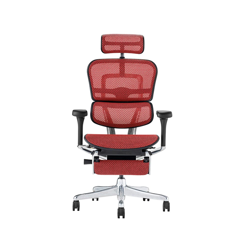 Ergohuman PRO2 Ottoman DR BK frame / Ergohuman（エルゴヒューマン） / 高機能チェア / EHM90032_dt_05.jpg