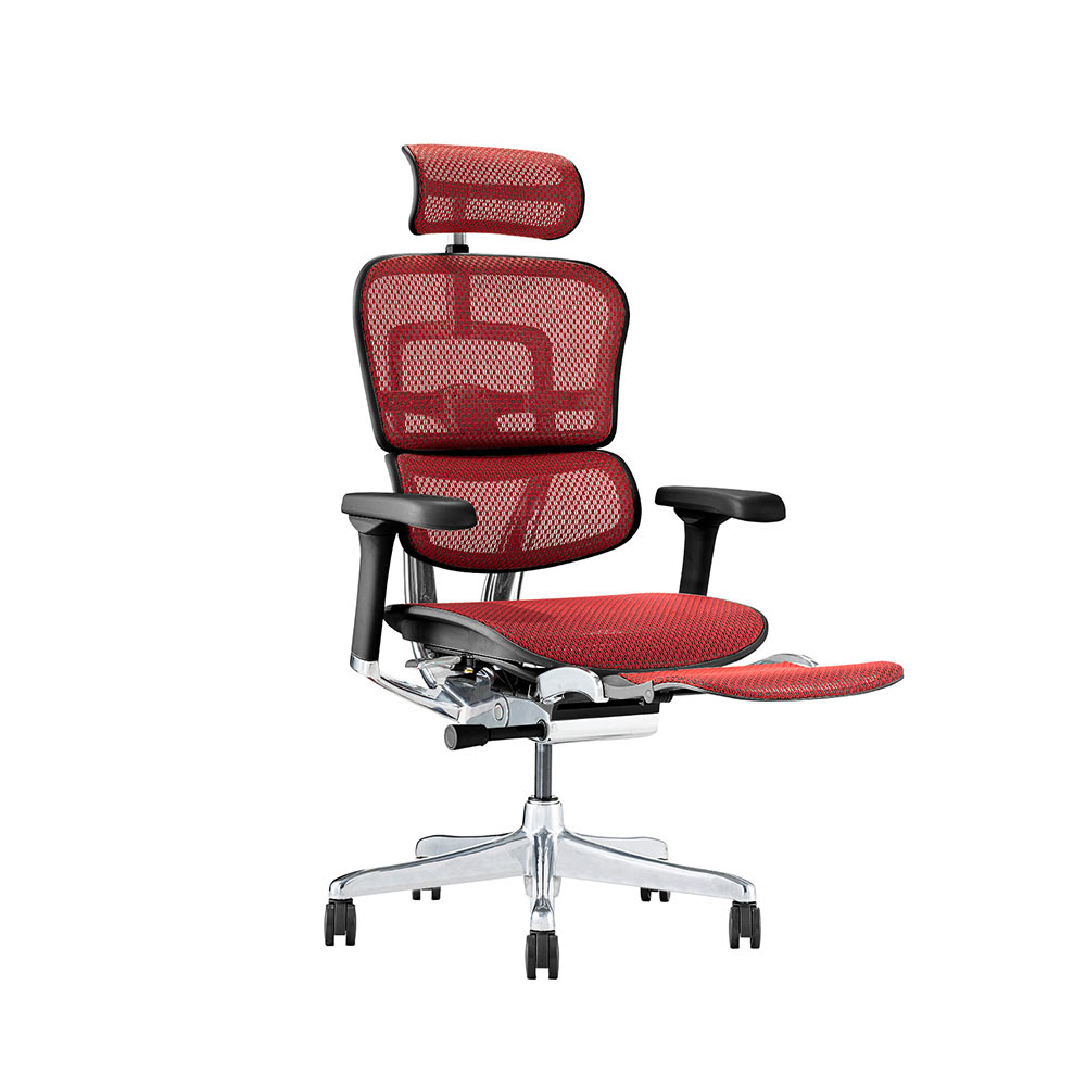 Ergohuman PRO2 Ottoman DR BK frame / Ergohuman（エルゴヒューマン） / 高機能チェア / EHM90032_dt_06.jpg