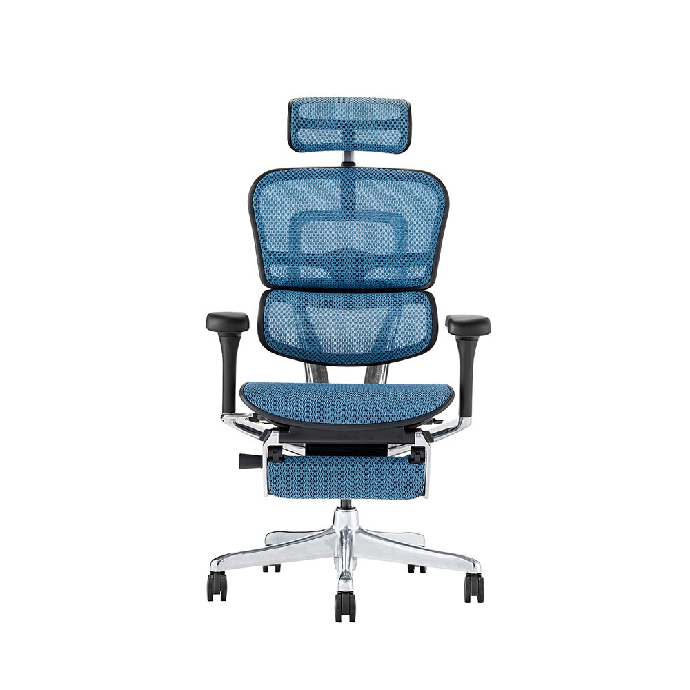 Ergohuman PRO2 Ottoman DR BK frame / Ergohuman（エルゴヒューマン） / 高機能チェア / EHM90032_dt_07.jpg
