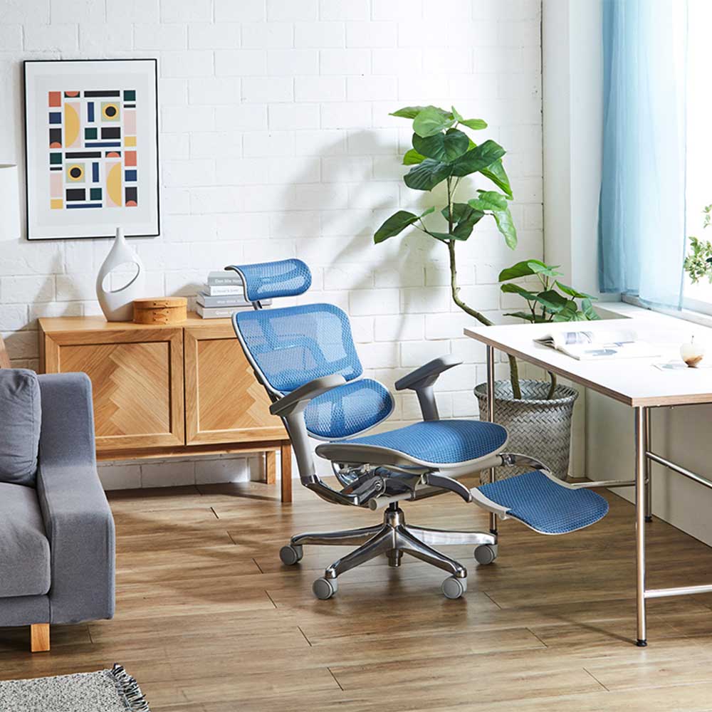 Ergohuman PRO2 Ottoman DR BK frame / Ergohuman（エルゴヒューマン） / 高機能チェア / EHM90032_dt_15.jpg
