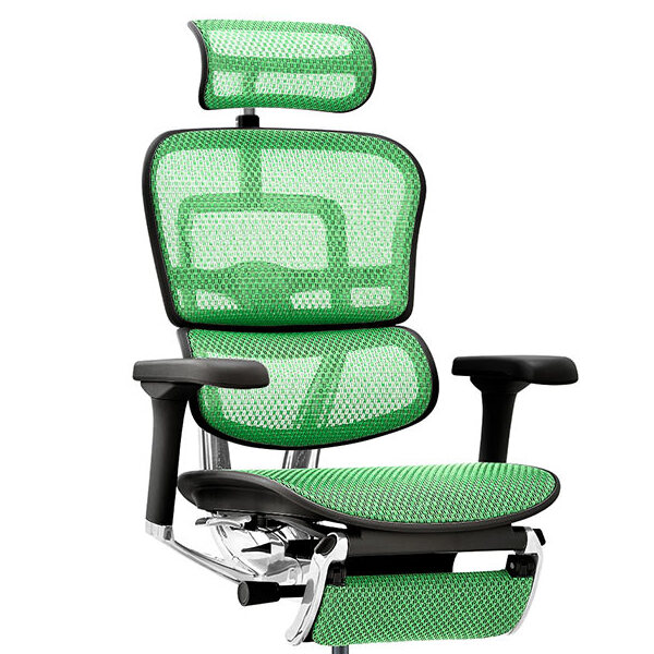 Ergohuman PRO2 Ottoman DR BK frame / Ergohuman（エルゴヒューマン） / 高機能チェア / col_EHM90032GRN.jpg