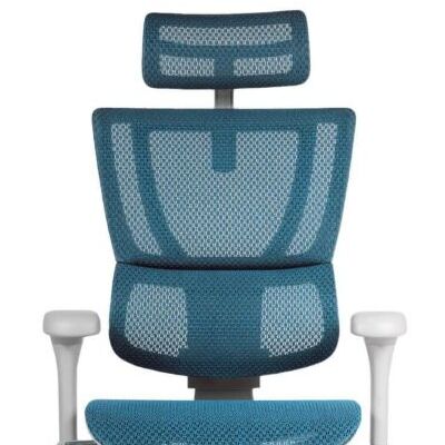 Ergohuman Fit2 エラストメリックメッシュ / 座面メッシュ / Ergohuman（エルゴヒューマン） / 高機能チェア / col_ERH90004BLU.jpg