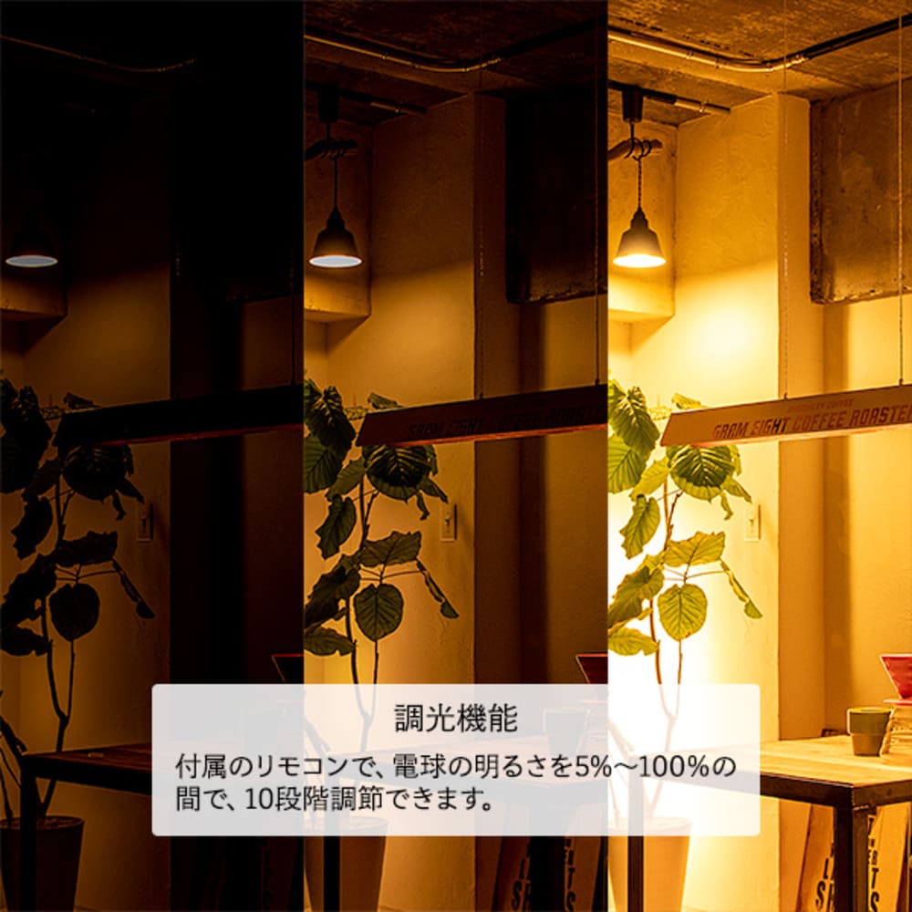 MANX マンクス ロンギー ペンダント リモコン付 TC-2008_gram eight / gram eight（グラムエイト） / ペンダントライト / GME10011_dt_16.jpg