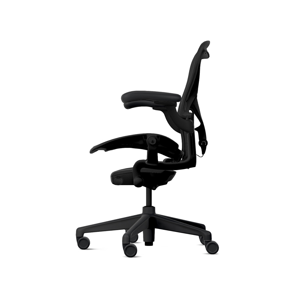 Aeron Chair Remastered B(Medium) 硬床/カーペット用キャスター / Herman Miller（ハーマンミラー） / 高機能チェア / HER10035_dt_02.jpg