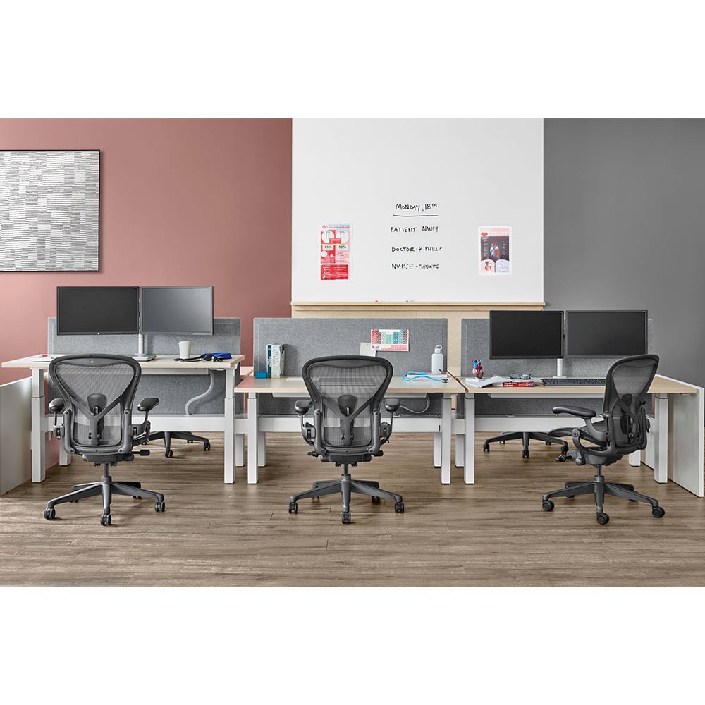 Aeron Chair Remastered B(Medium) 硬床/カーペット用キャスター / Herman Miller（ハーマンミラー） / 高機能チェア / HER10035_dt_07.jpg
