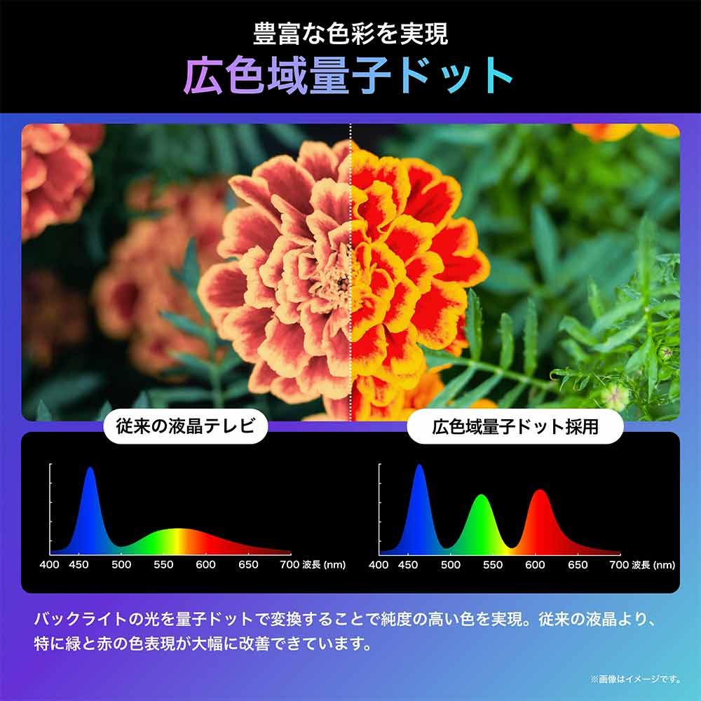 Hisense Hisense 75v型 Mini LED 4K液晶テレビ 75U8N Hisense Hisense 75v型 Mini LED 4K液晶テレビ 75U8N