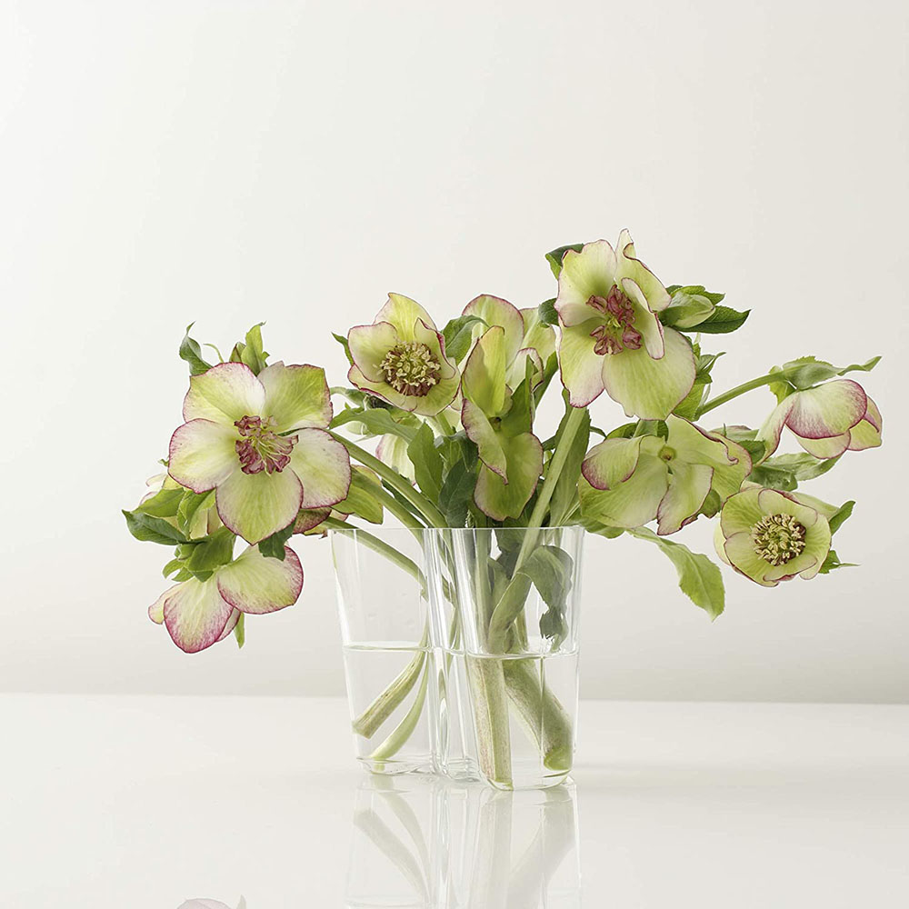 iittala Alvar Aalto Collection Base 160mm / iittala（イッタラ） / 花器・フラワーベース・花瓶 / ITL10005_dt_06.jpg