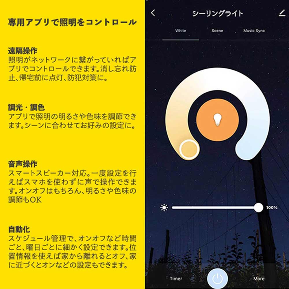 ORIKASA LED CEILING LIGHT / JOURNAL STANDARD FURNITURE（ジャーナルスタンダードファニチャー） / シーリングライト・シーリングファン / JSF10307_dt_21.jpg