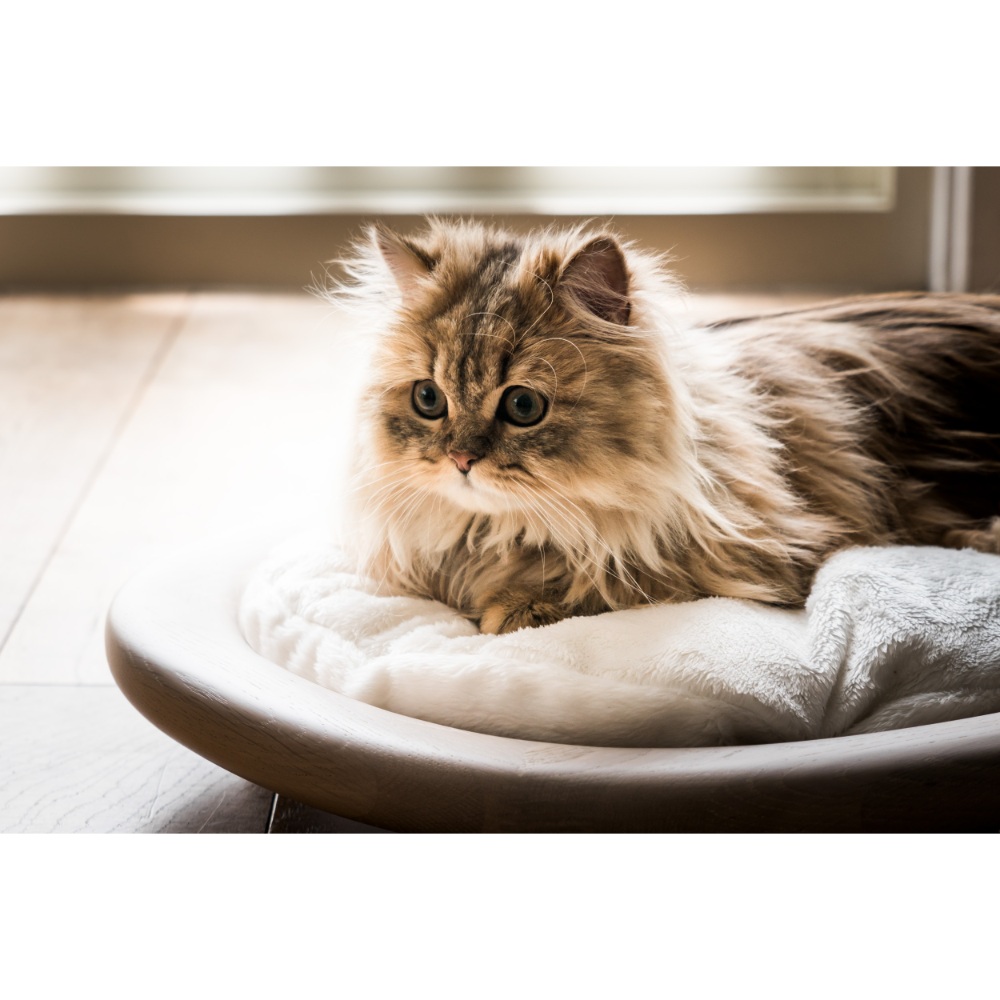 KARIMOKU CAT BED