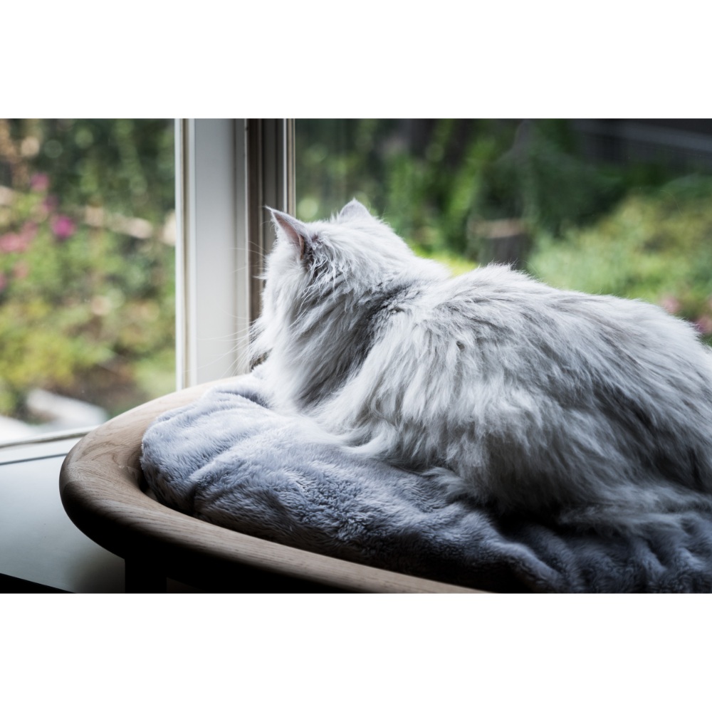 KARIMOKU CAT BED / KARIMOKU CAT（カリモクキャット） / ペット家具・キャットタワー / KMP10009_dt_03.jpg