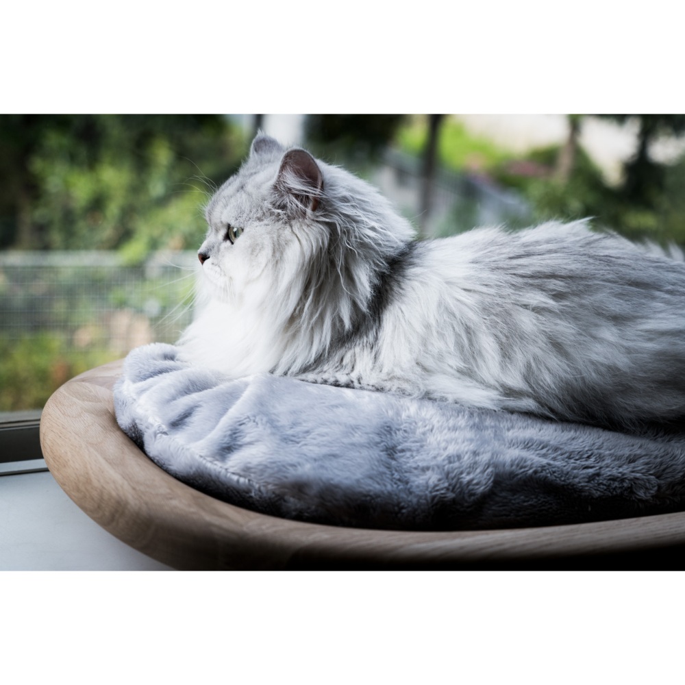 KARIMOKU CAT BED / KARIMOKU CAT（カリモクキャット） / ペット家具・キャットタワー / KMP10009_dt_04.jpg