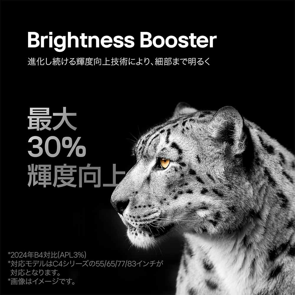 LG 55V型 4K有機ELテレビ(OLED55C4PJA) / LG（エルジー） / テレビ本体・チューナー / LGE10059_dt_10.jpg