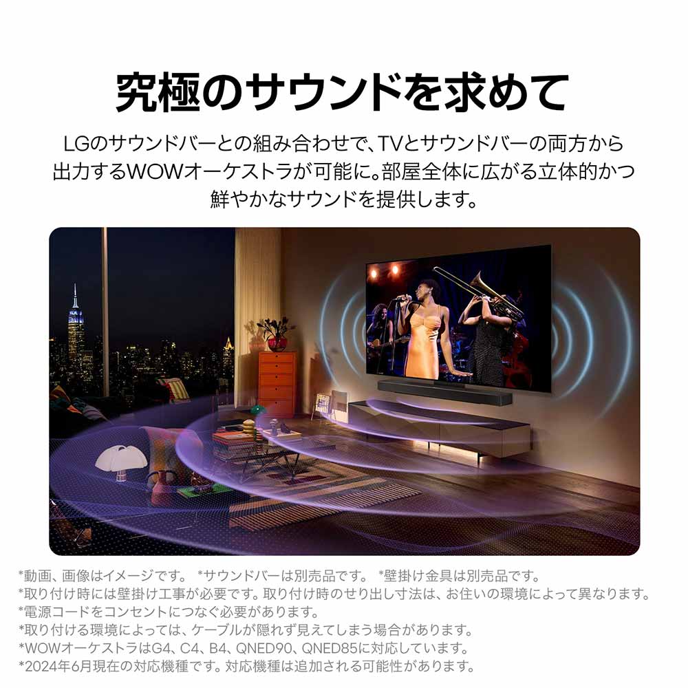 LG LG 83V型 4K有機ELテレビ(OLED83G4PJA) / エルジー LG LG 83V型 4K有機ELテレビ(OLED83G4PJA) / エルジー