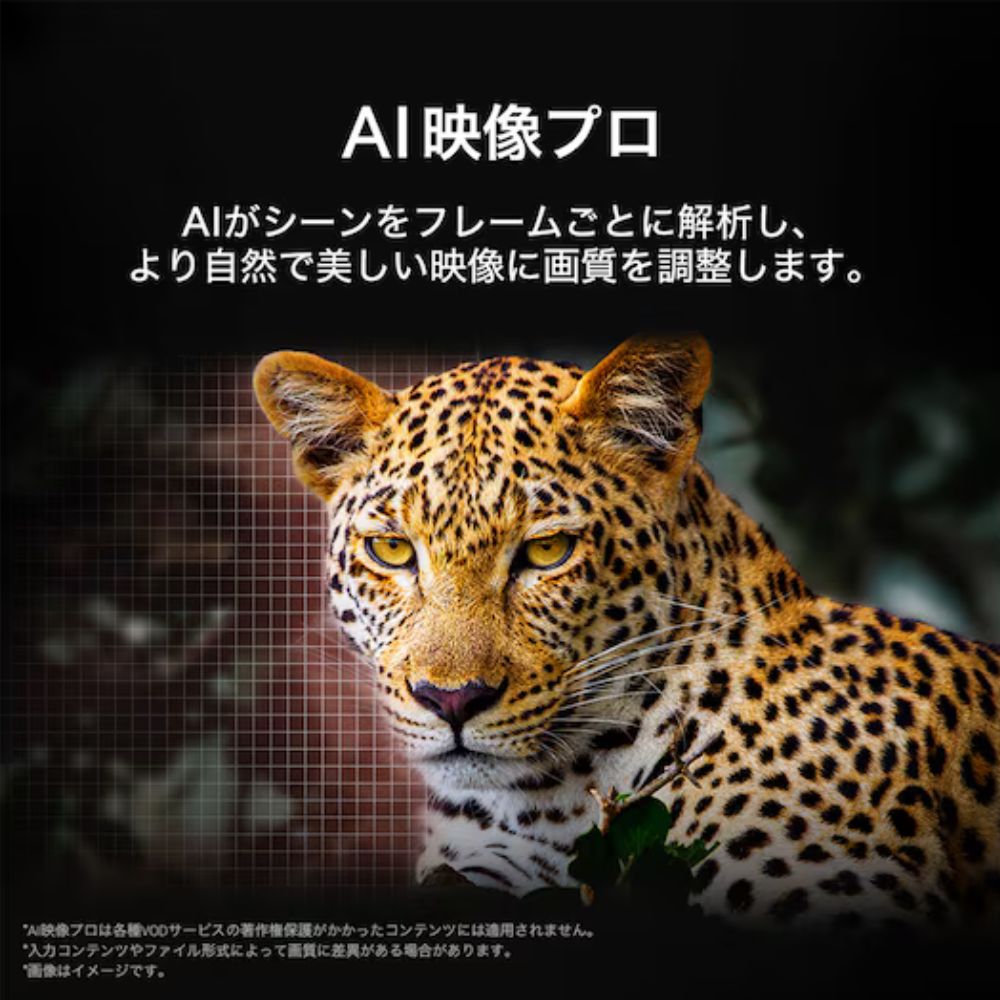 55V型 4K有機ELテレビ LG OLED evo AI C5(OLED55C5PJA) / LG（エルジー） / テレビ本体・チューナー / LGE10076_dt_05.jpg