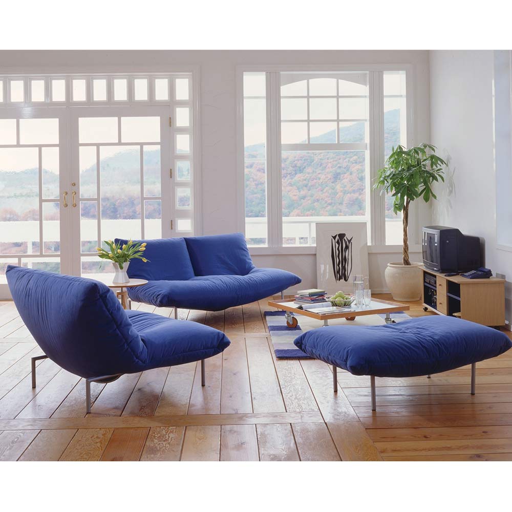 ROSETCALIN Type2 2P (リクライナ) ligne roset / ligne roset（リーン・ロゼ） / 2人掛けソファ / LIR10195_dt_01.jpg