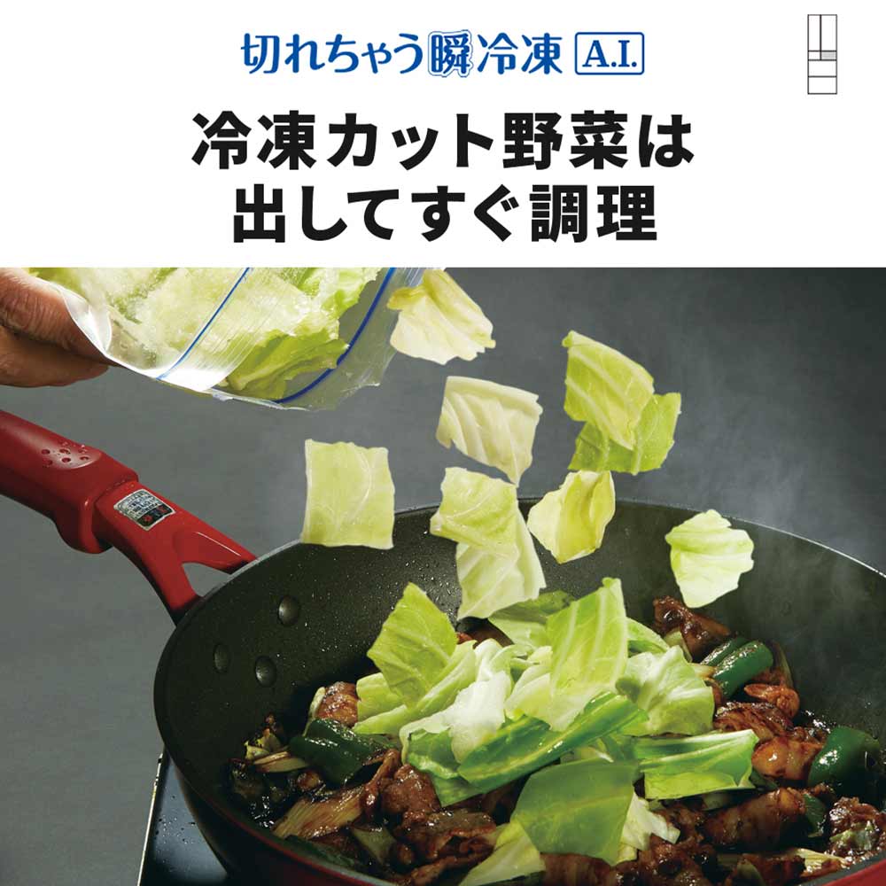 MITSUBISHI 495L 6ドア冷蔵庫 冷凍室真ん中タイプ MR-WZ50M (観音開き) / MITSUBISHI（ミツビシ） / 冷蔵庫・冷凍庫 / MTB10102_dt_10.jpg